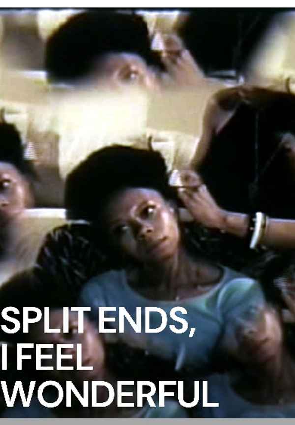 Split Ends, I Feel Wonderful Poster 5