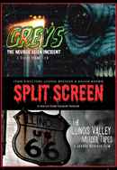 Split Screen Poster 5