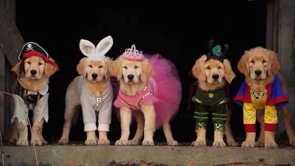 Spooky Buddies Poster 5