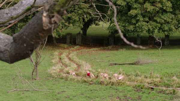 Spooky Buddies Poster 7