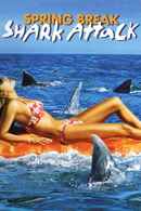 Spring Break Shark Attack Poster 1