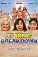 Spring Breakdown Poster 2
