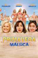 Spring Breakdown Poster 3