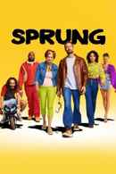Sprung Poster 6