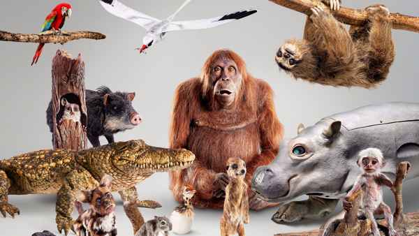 Spy In The Wild Poster 7