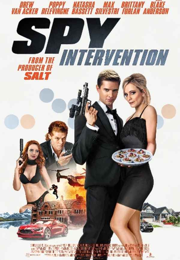 Spy Intervention Poster 4