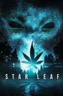 Star Leaf Poster 1