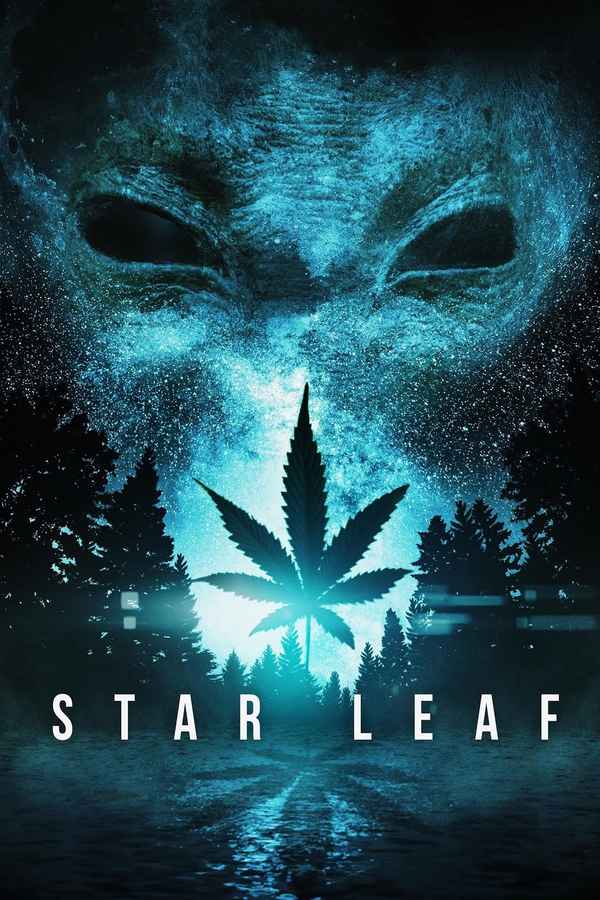 Star Leaf Poster 1