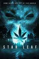 Star Leaf Poster 3