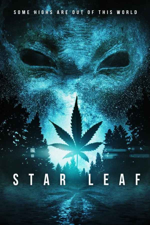 Star Leaf Poster 3