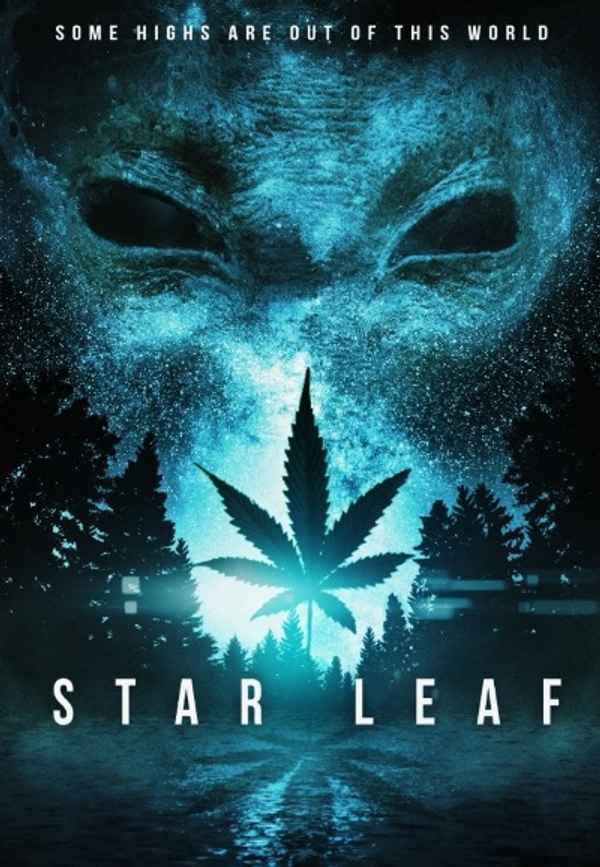 Star Leaf Poster 7