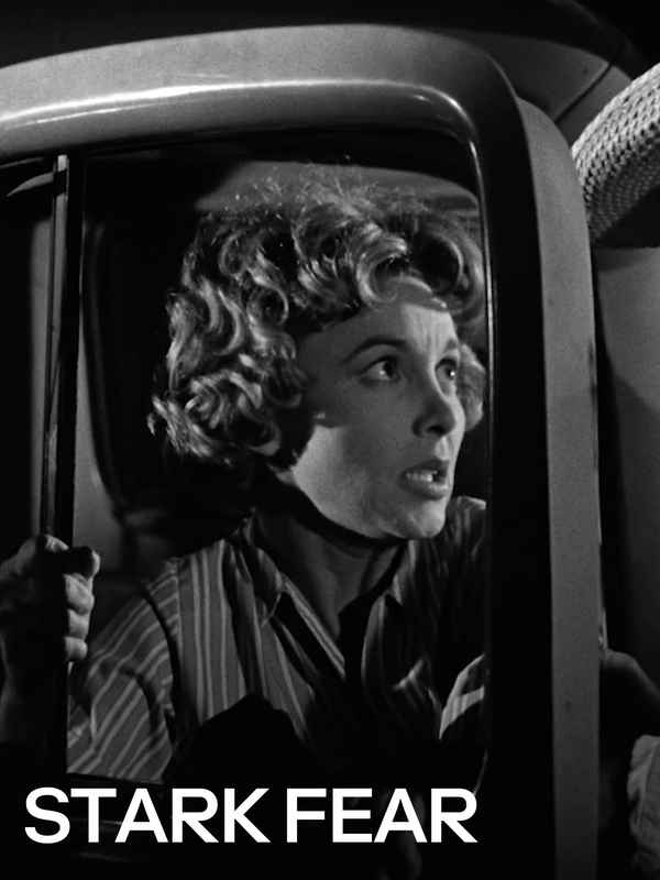 Stark Fear Poster 1