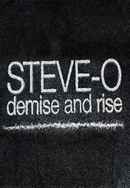 Steve-O: Demise and Rise Poster 4