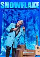 Stewart Lee: Snowflake Poster 4