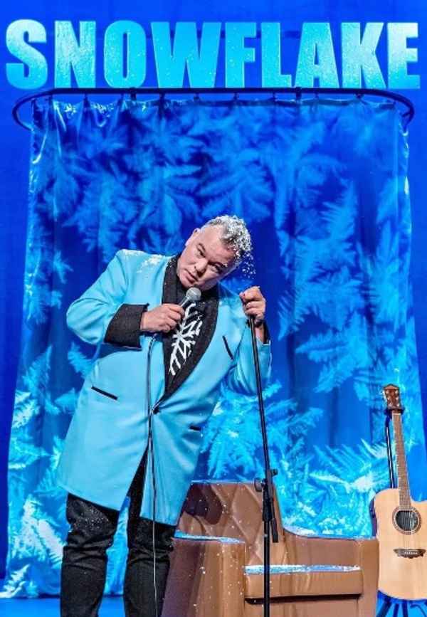 Stewart Lee: Snowflake Poster 4