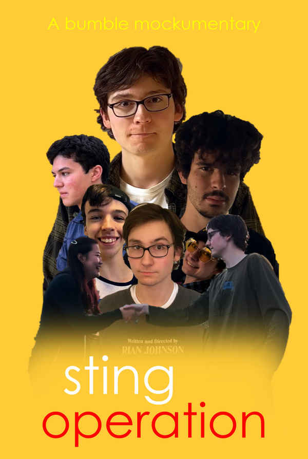 Sting Operation: A Bumble Mockumentary Poster 1