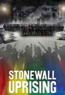 Stonewall Uprising Poster 4