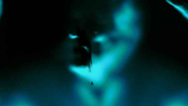 Storage Locker Poster 3