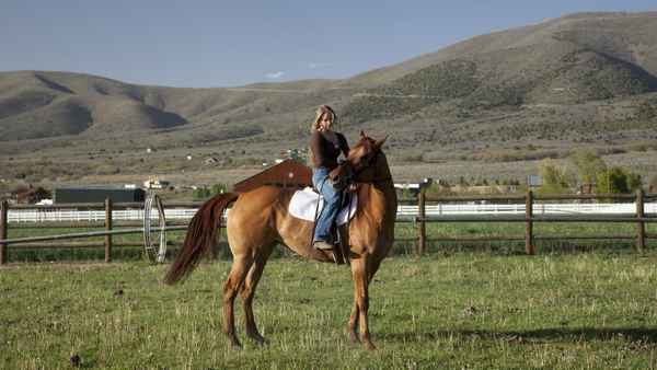 Storm Rider Poster 3