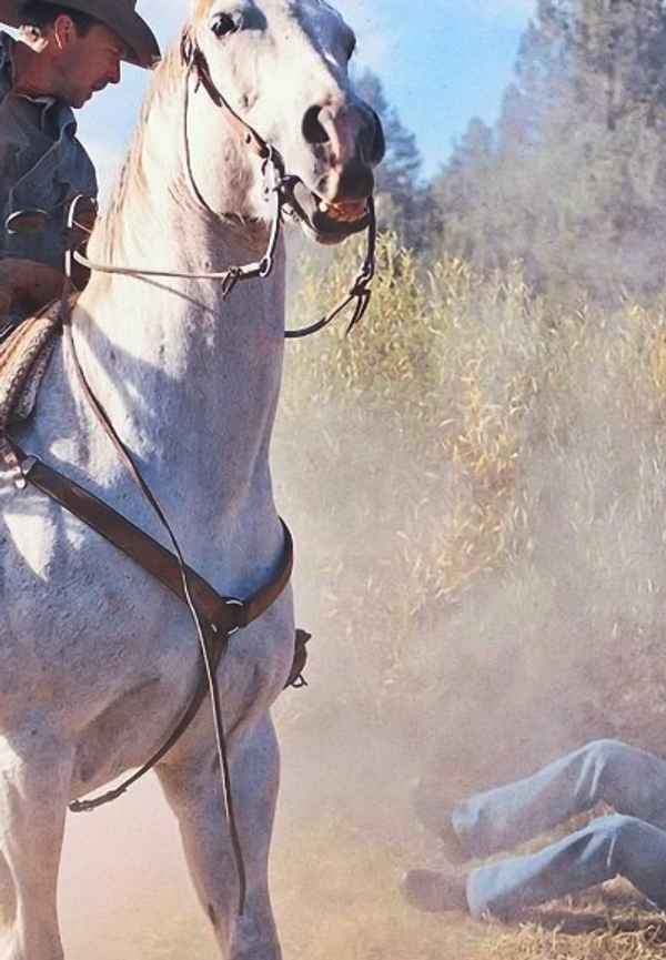 Straight From the Heart Poster 6