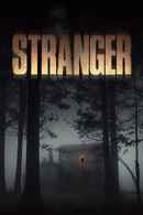 Stranger Poster 3