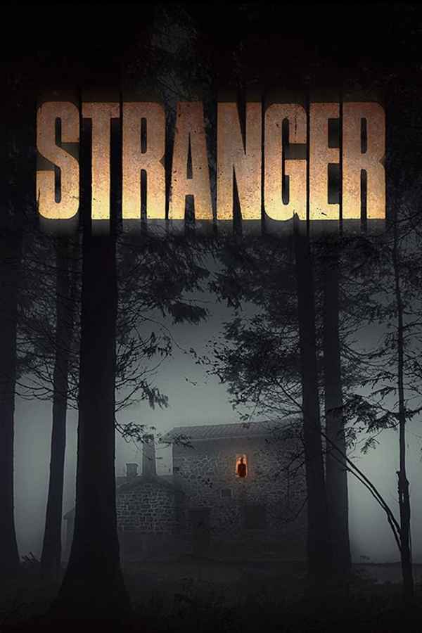 Stranger Poster 3