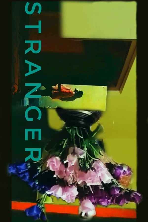 Stranger Poster 4