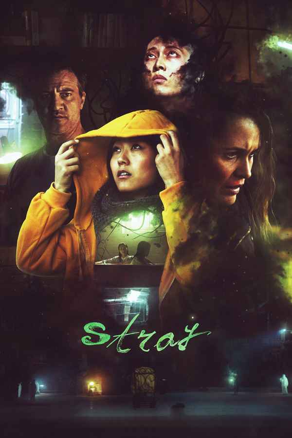 Stray Poster 6