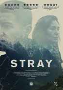 Stray Poster 6