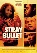 Stray Bullet Poster 5