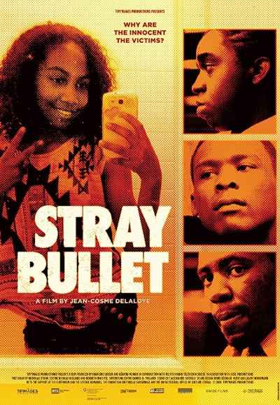 Stray Bullet