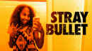 Stray Bullet Poster 2
