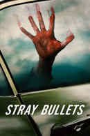 Stray Bullets Poster 3