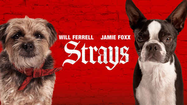 Strays Poster 4
