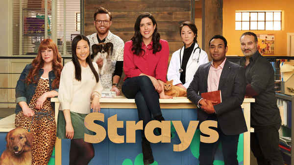 Strays Poster 6