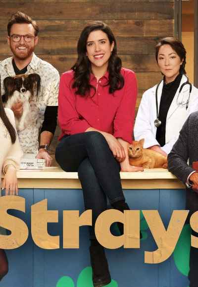Strays
