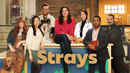 Strays Poster 7