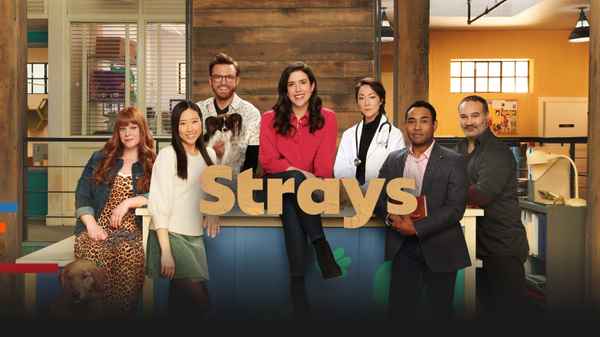 Strays Poster 2
