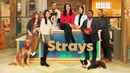 Strays Poster 1
