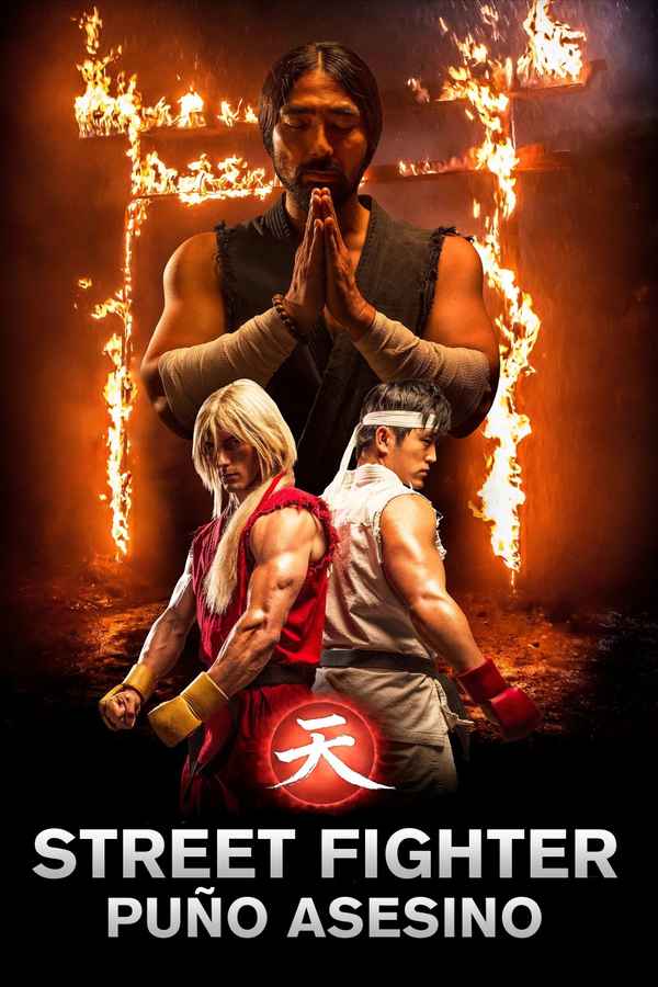 Street Fighter: Assassin's Fist Poster 2