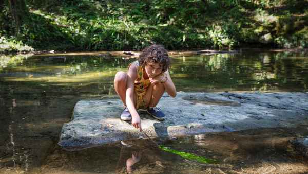 Summer 1993 Poster 2