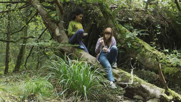 Summer in the Shade Poster 1