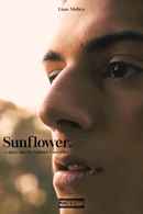 Sunflower Poster 7