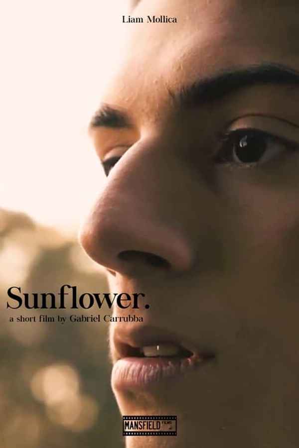 Sunflower Poster 7