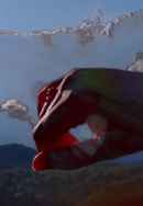 Sunflower Siege Engine Poster 3