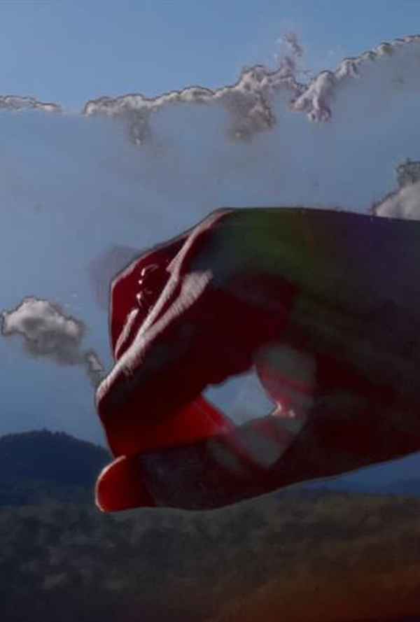 Sunflower Siege Engine Poster 1