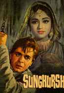 Sunghursh Poster 6