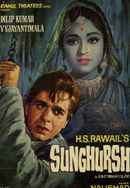 Sunghursh Poster 7