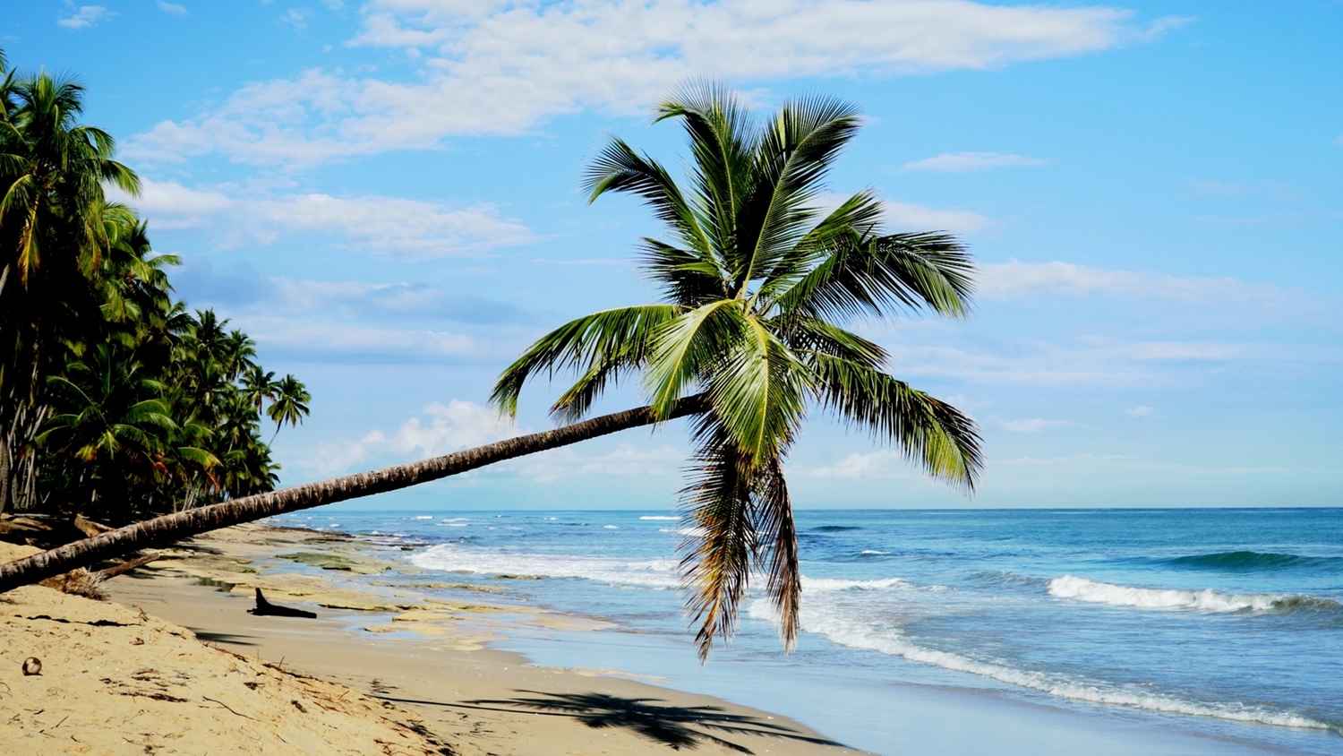 Sunny Sandy Beach: Dominican Republic
