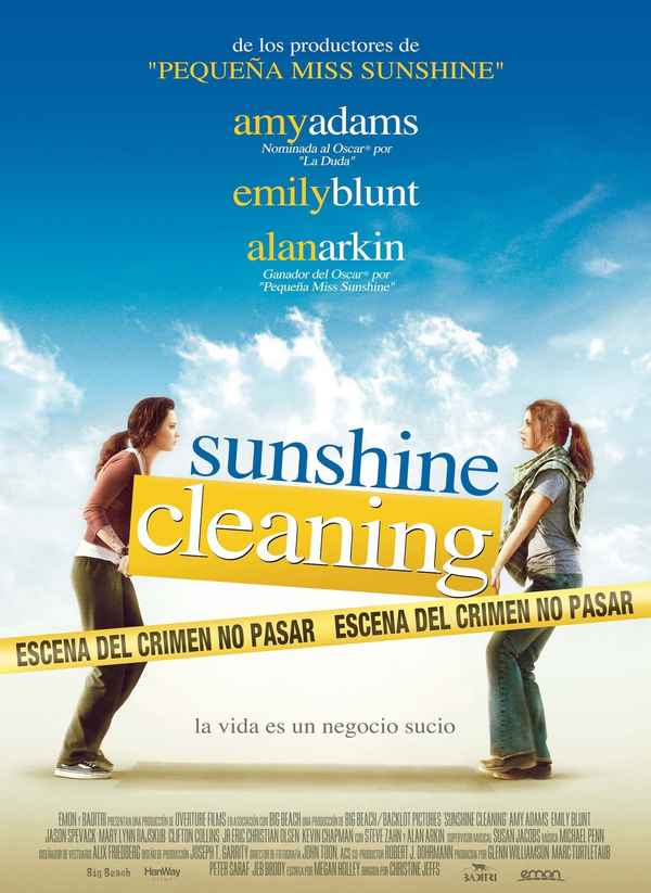 Sunshine Cleaning Poster 5